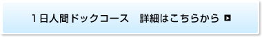 �Q���l�ԃh�b�N�R�[�X�@�ڍׂ͂����炩��