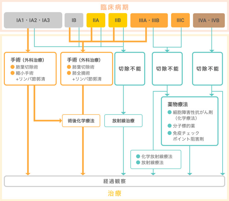 病気のはなし 肺がんと診断されました 手術できる肺がんとは 公立学校共済組合 関東中央病院