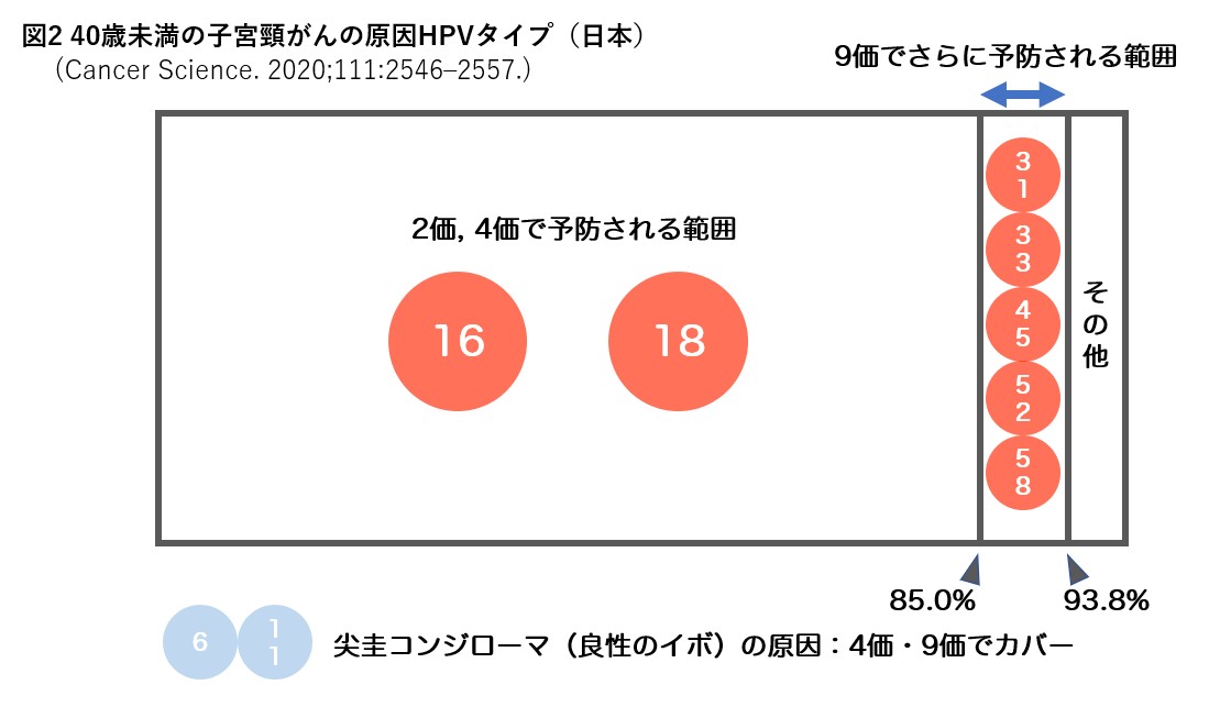 産婦人科領域 最近のトピック