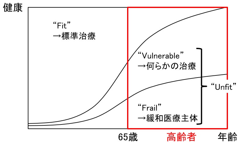 高齢者のがん診療