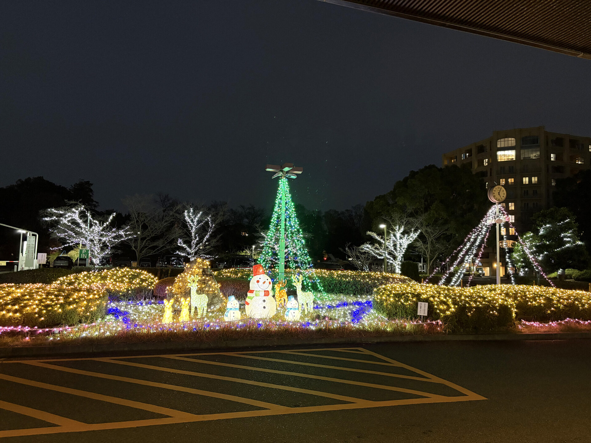 イルミネーションを点灯しました